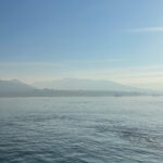 IMG_2407_1x1