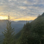 IMG_2489_1x1