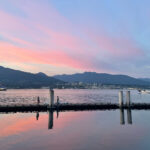 IMG_2570_1x1