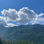 IMG_2588_1x1