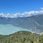 IMG_2590_1x1