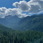 IMG_2594_1x1