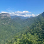 IMG_2598_1x1