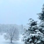 Sky_0226-26