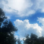 Sky_2026-0904