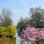 UK_Buckingham